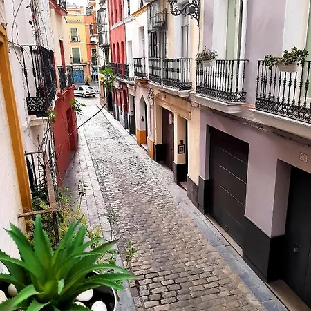 Bohemian & Catedral -parking 公寓 *